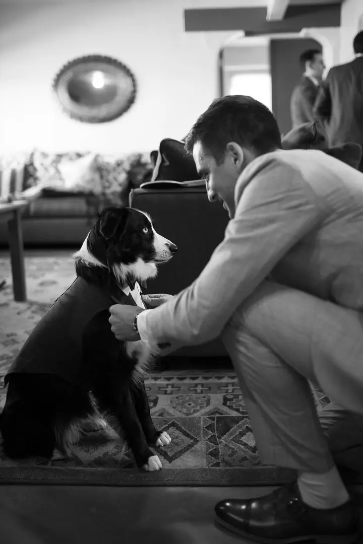 Black and white photo of Indy in a bow tie sitting with the groom
