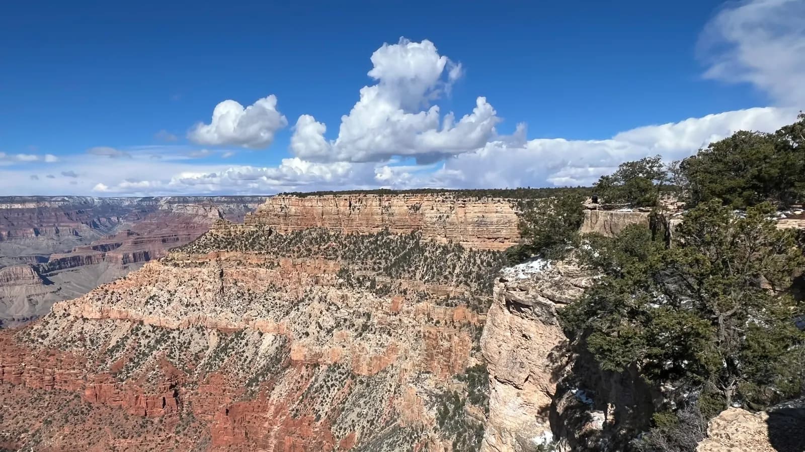 Layered red and cream canyon walls dotted with juniper under a deep blue sky and tall white clouds, seen from a tree-lined rim.