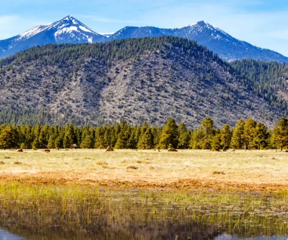 The mountains above Flagstaff, reflected in a meadow pond