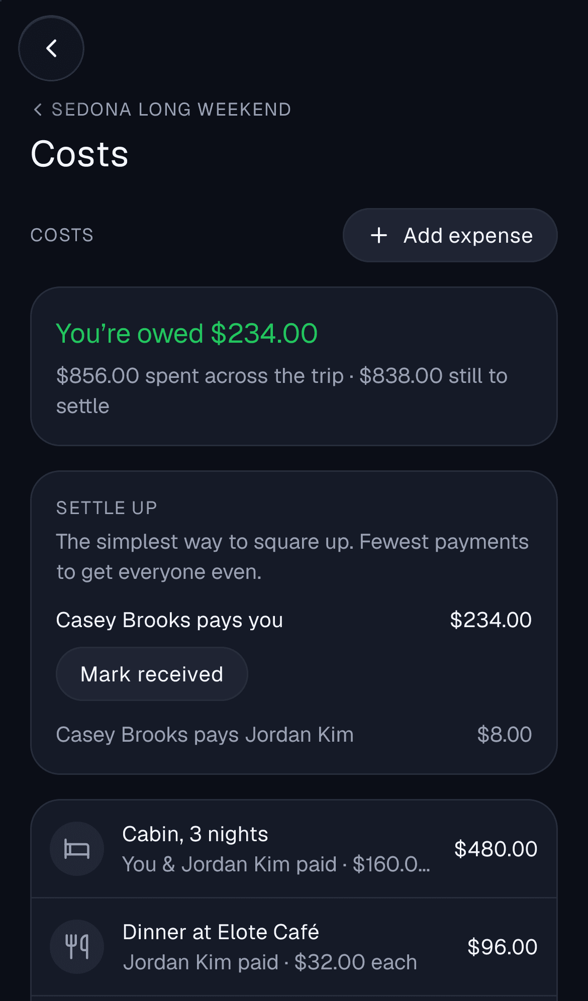 A trip expense ledger showing balances and who owes whom